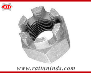 Castle Nuts manufacturers exporters in india ludhiana punjab